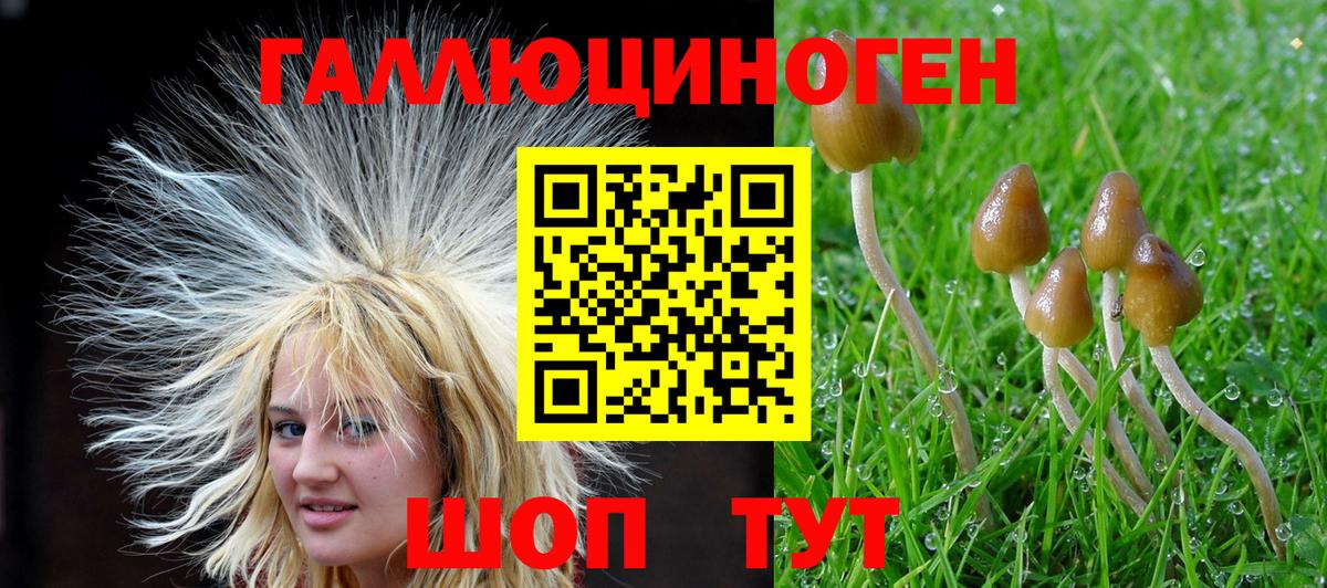 Канабис Шарыпово